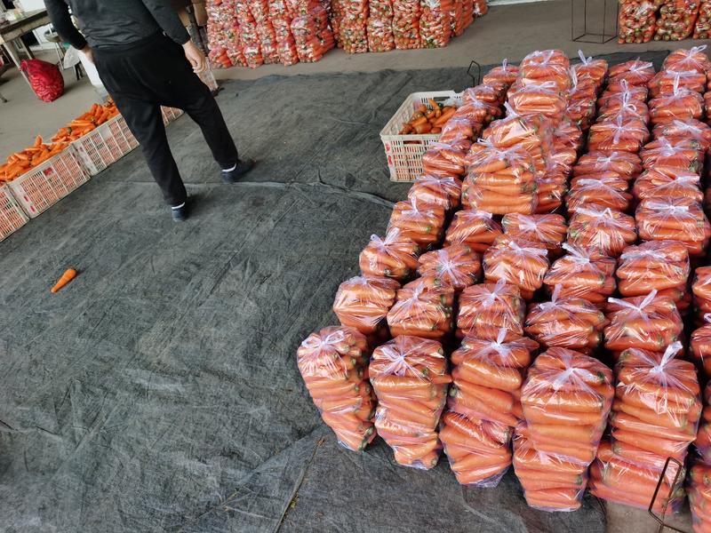 【精选】江苏省东台市胡萝卜产地大量供应电商超市