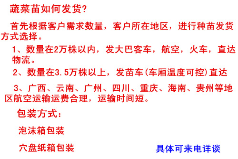 博洋8甜瓜苗甜瓜苗黑皮甜瓜苗早春嫁接甜瓜苗提预订