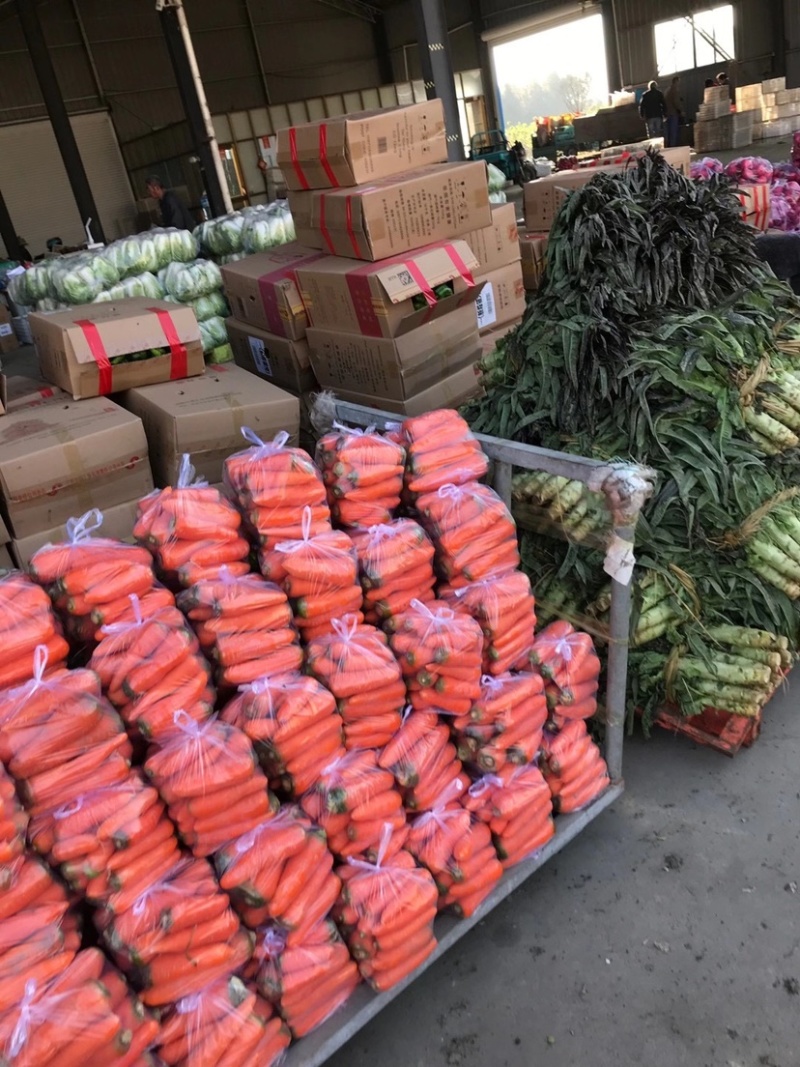 优质精品胡萝卜大量上市，欢迎新老客户前来选购，
