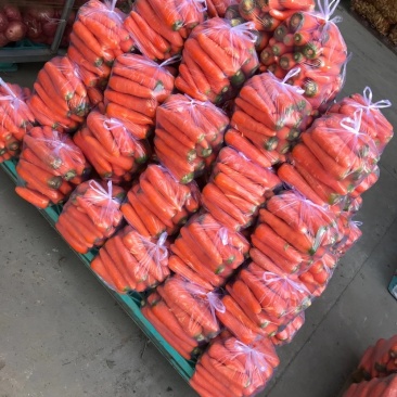 优质精品胡萝卜大量上市，欢迎新老客户前来选购，