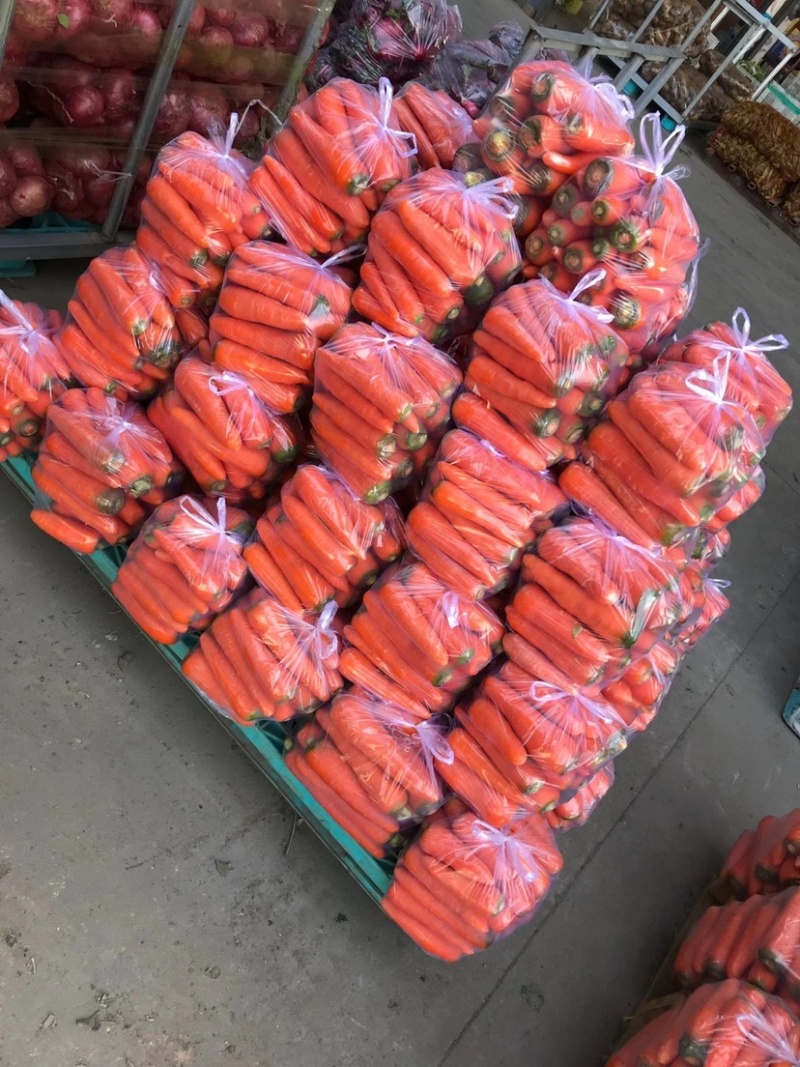 优质精品胡萝卜大量上市，欢迎新老客户前来选购，