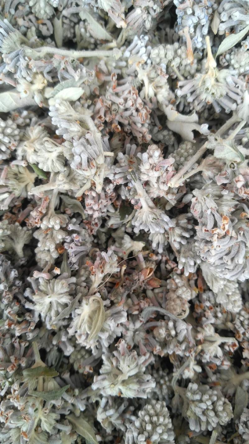 四川野生密蒙花，新货干度好，无硫无霉无杂人工筛选产地直销