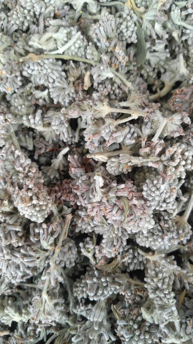 四川野生密蒙花，新货干度好，无硫无霉无杂人工筛选产地直销
