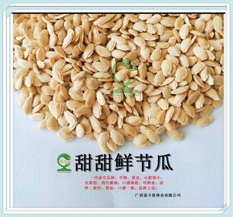 甜甜鲜毛节瓜种子心腔小肉翠绿味清甜可鲜食