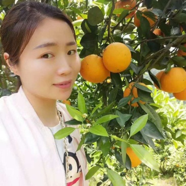 大量中华红二级果价格便宜皮薄汁多清甜无渣欢迎订购