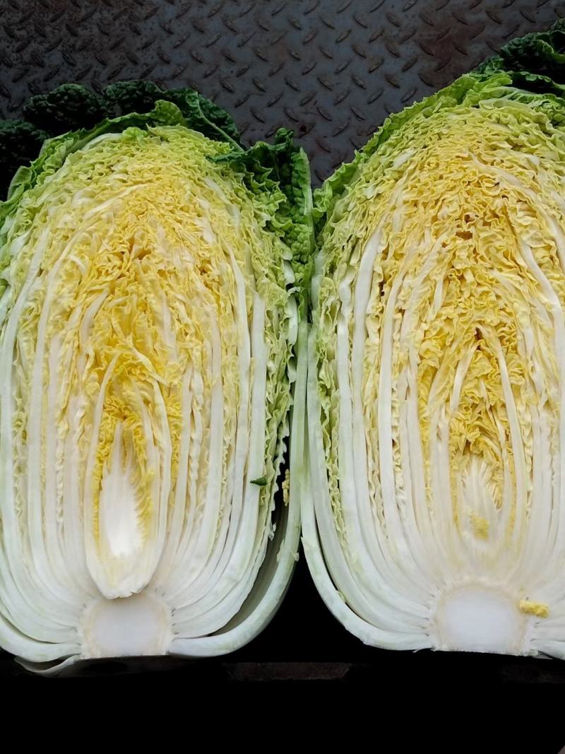 【优质黄心大白菜】对接商超，卖相好，耐运输，价格实惠