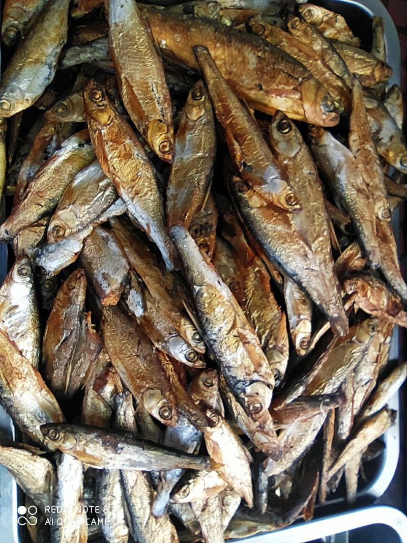 白洋淀熏鱼熏泥鳅武昌鱼白条鱼熏油鱼