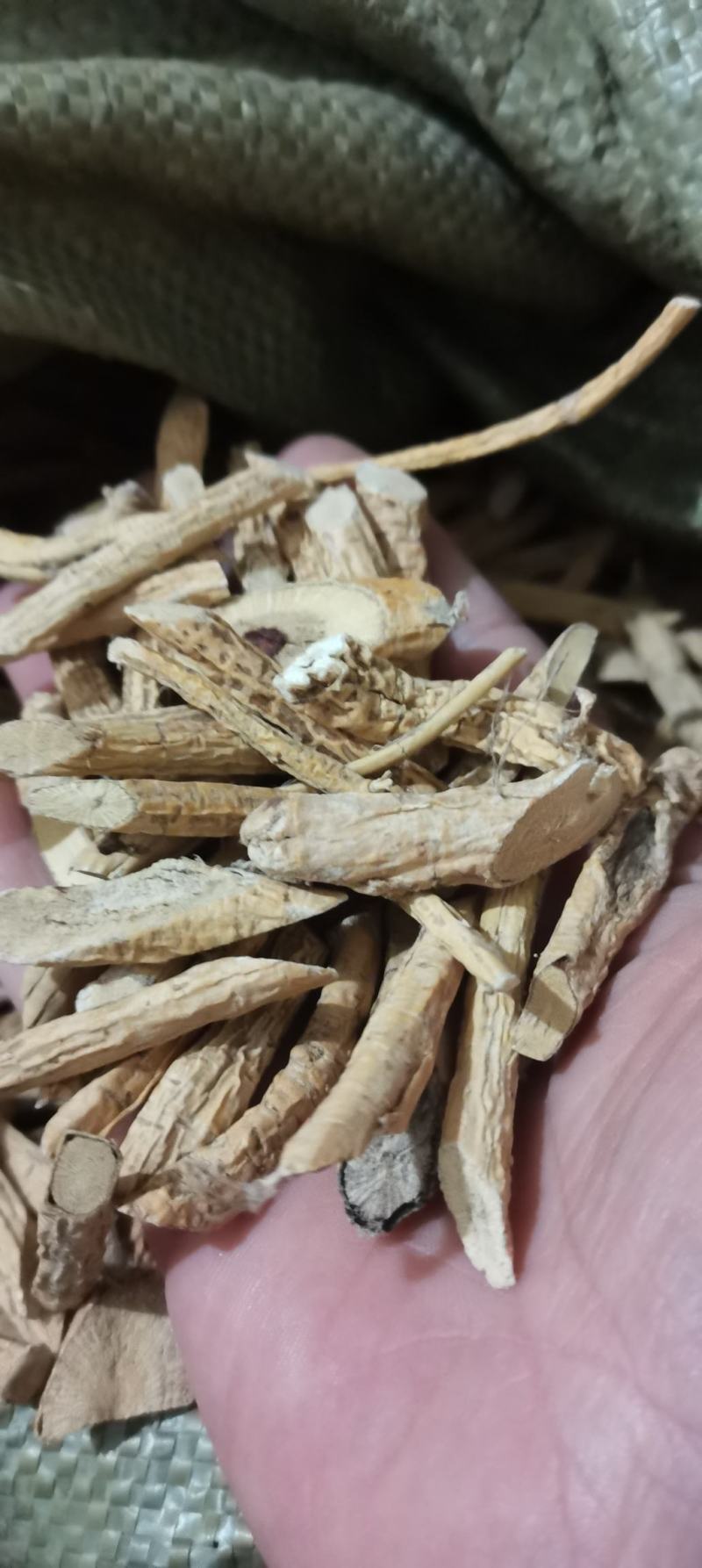 牛大力牛大力牛大力根
