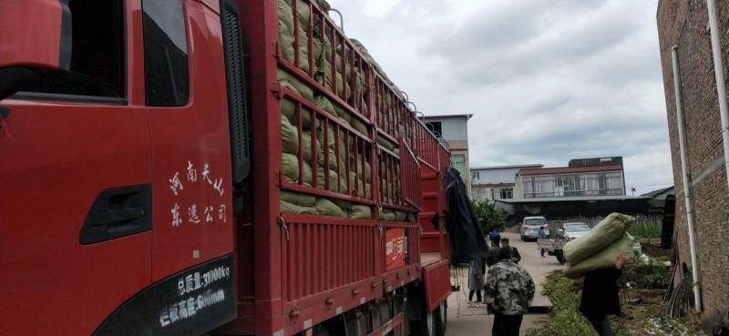 山药粉条细条宽条大量有货，三证齐全！质量保证！口感纯正！