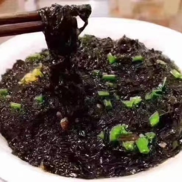 头水紫菜。无污染水域种植