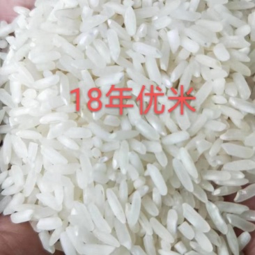 饭堂米食堂米18年中优现货