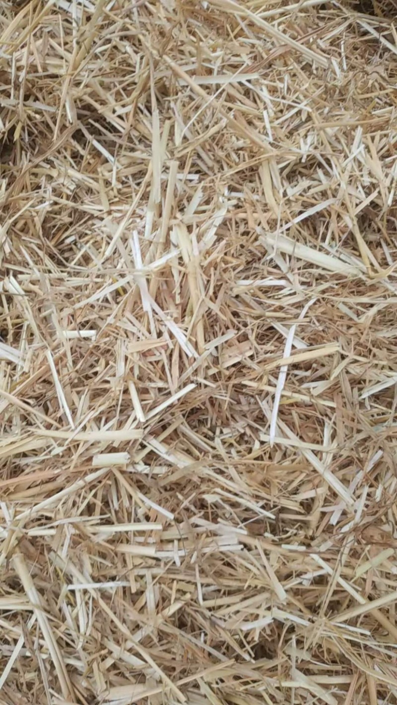 2020小麦秸秆肉丝，保质保量