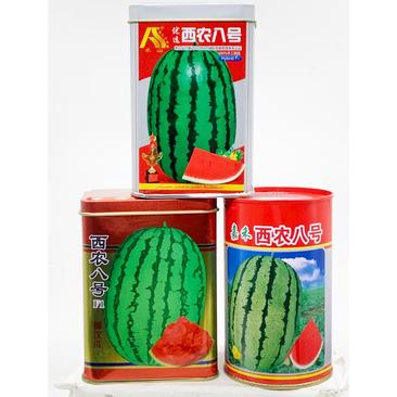 西农八号西瓜种子高产甜椭圆形新疆西瓜种原装发货支持线上交