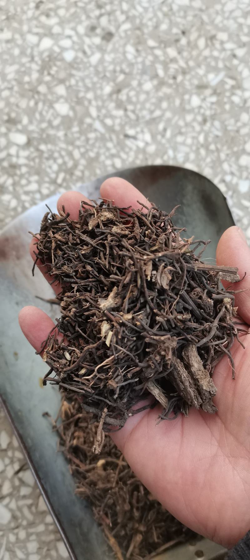 威灵仙干货威灵仙各种中药材批发一公斤起批
