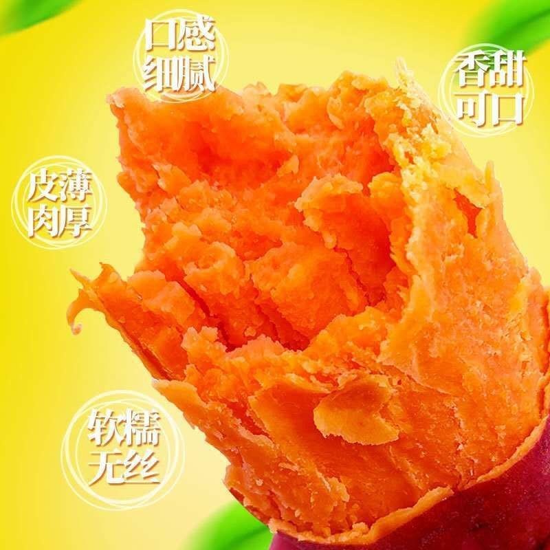 地瓜大量现货供应
