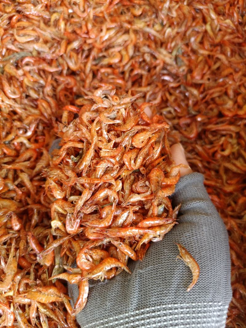 红头虾烤虾干小红虾烤草虾红虾淡水无盐靓货量大价优
