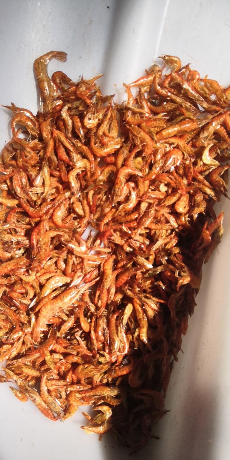 红头虾烤虾干小红虾烤草虾红虾淡水无盐靓货量大价优