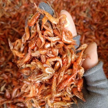 红头虾烤虾干小红虾烤草虾红虾淡水无盐靓货量大价优