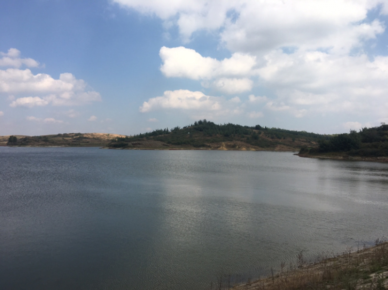 曲靖沾益1500亩水田出租，适合种蔬菜，花卉