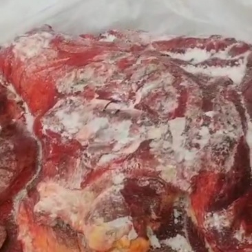 马肉！蒙古马肉前腿肉！活马吊宰，精修去油大块肉！！