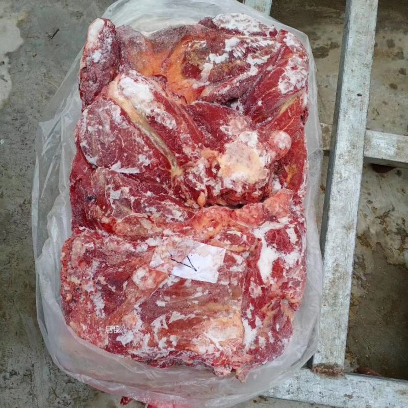 马肉！蒙古马肉前腿肉！活马吊宰，精修去油大块肉！！