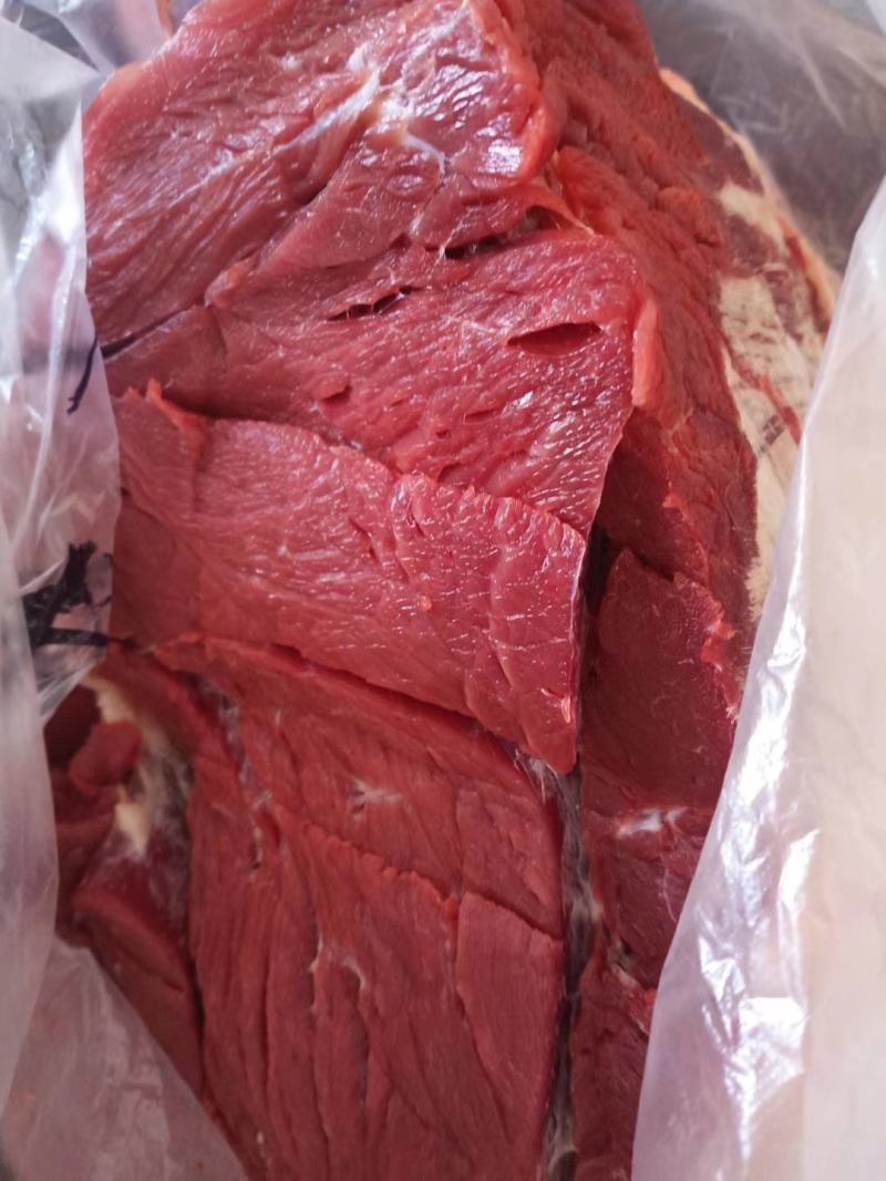 马肉！蒙古马肉前腿肉！活马吊宰，精修去油大块肉！！