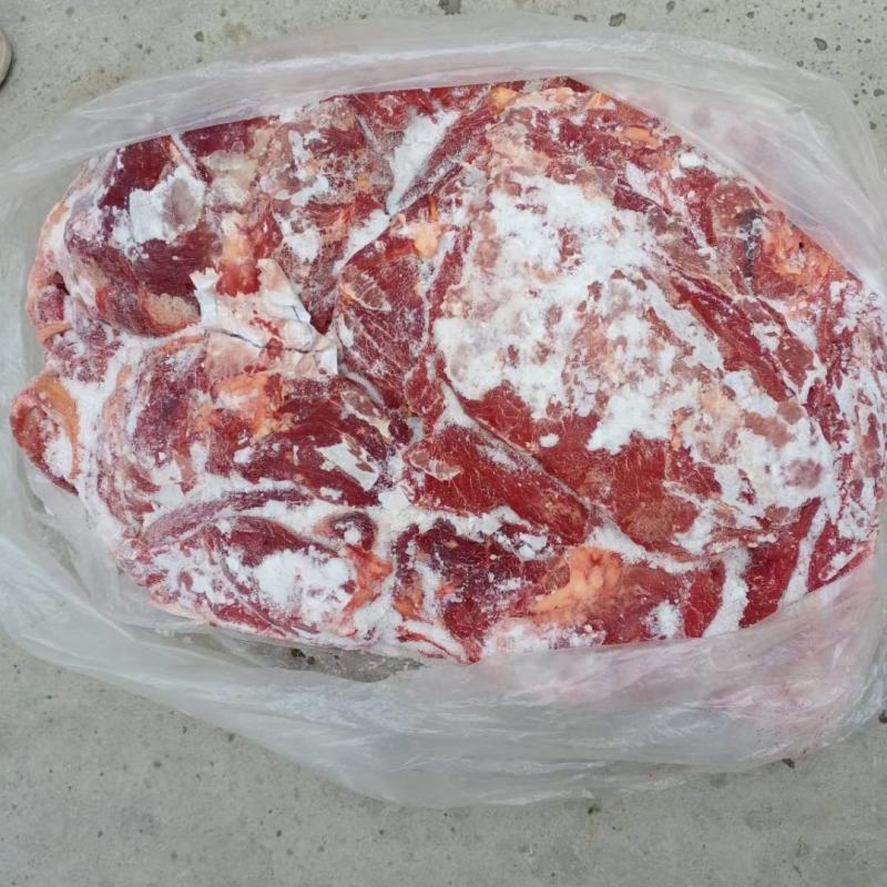 马肉！蒙古马肉前腿肉！活马吊宰，精修去油大块肉！！