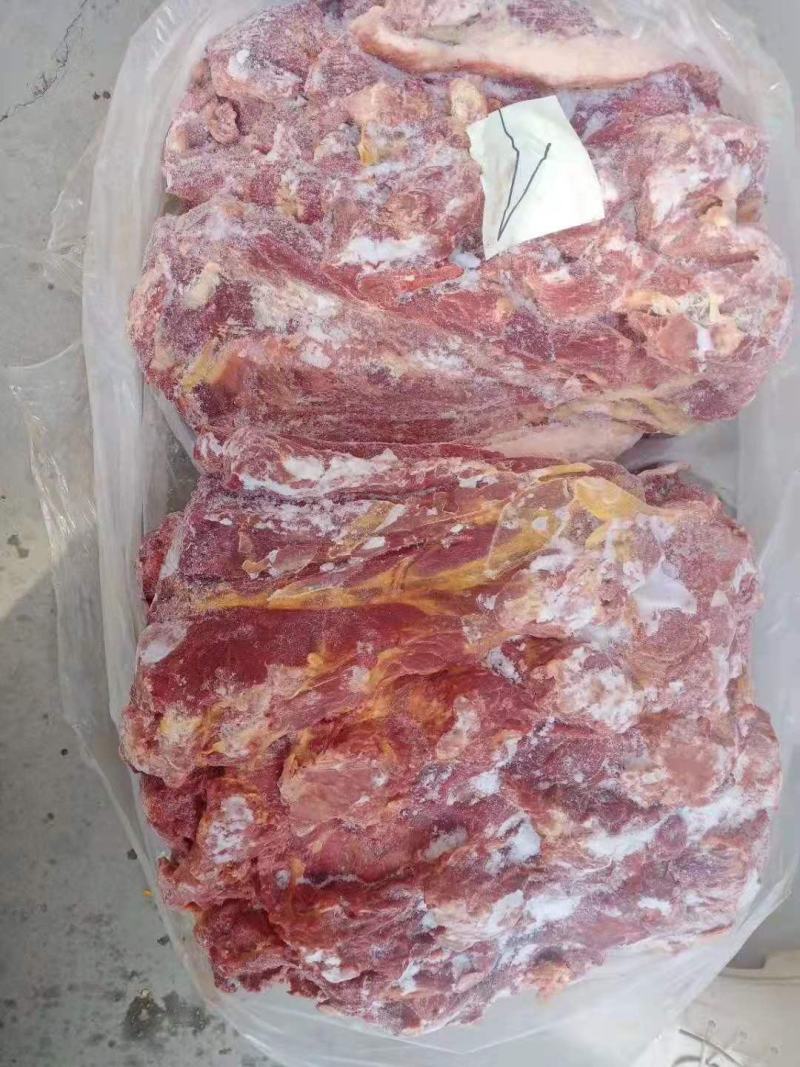 马肉！蒙古马肉前腿肉！活马吊宰，精修去油大块肉！！