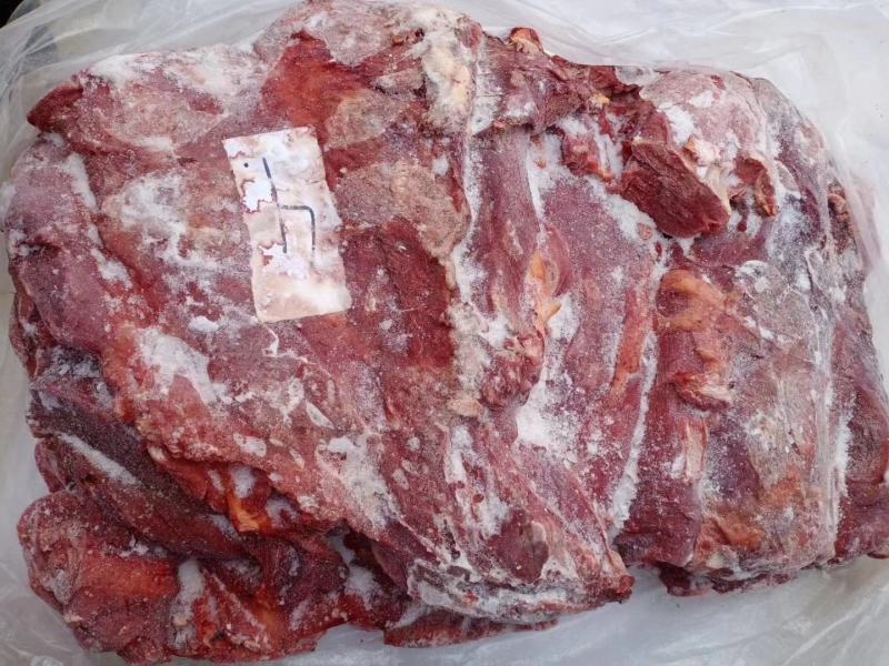 马肉！蒙古马肉前腿肉！活马吊宰，精修去油大块肉！！