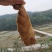 冬笋湖南冬笋新鲜竹笋本地冬笋野生深山新鲜