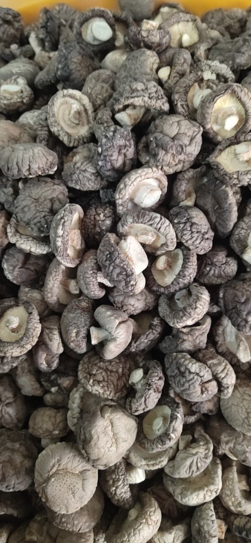 【干香菇】肉厚颜色干度质量好！精选冬菇大小均匀，规格齐全