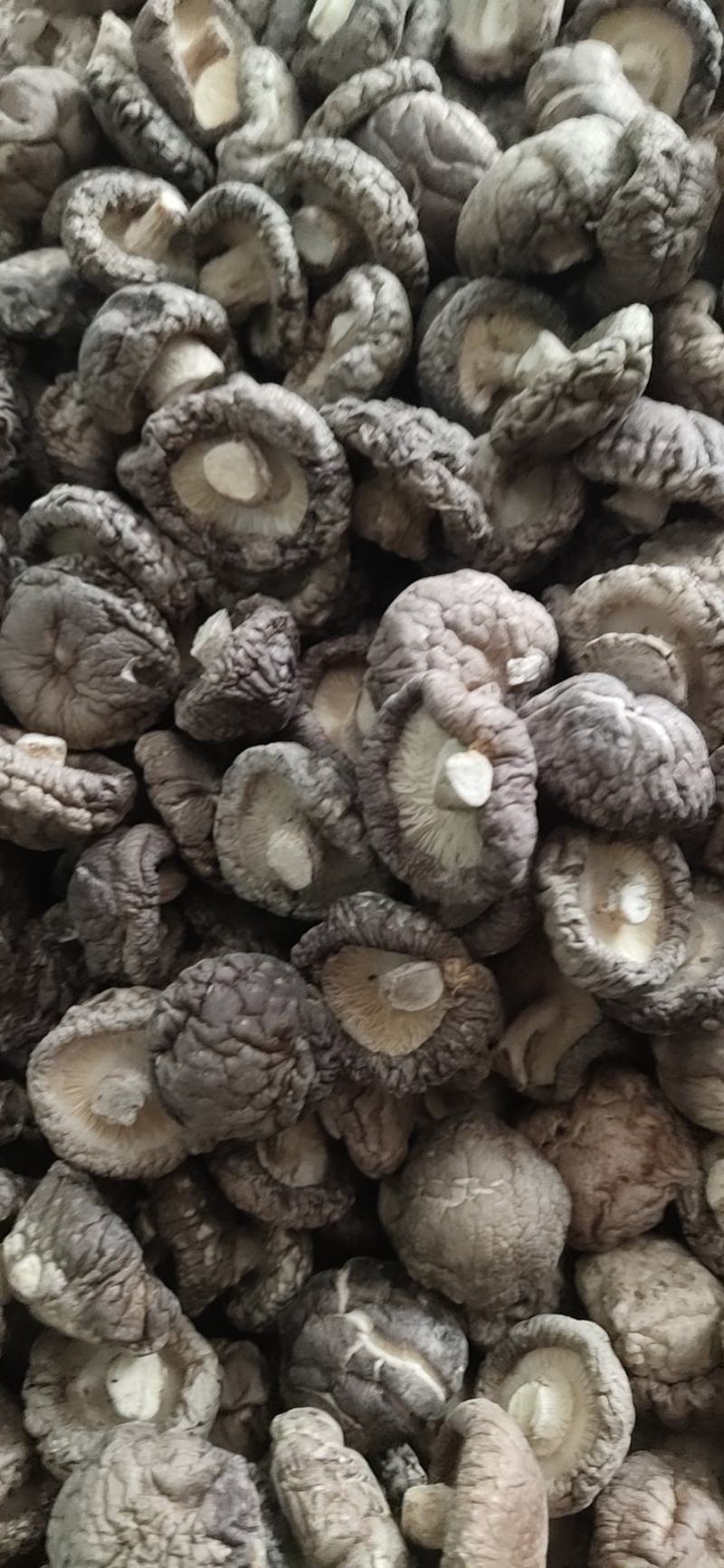 【干香菇】肉厚颜色干度质量好！精选冬菇大小均匀，规格齐全