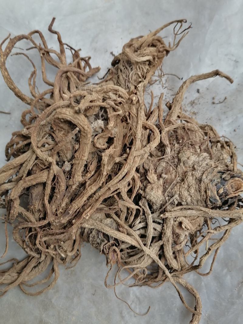 独活，产新独活大货。大货下单有惊喜啊，贝体事宜商定发货。