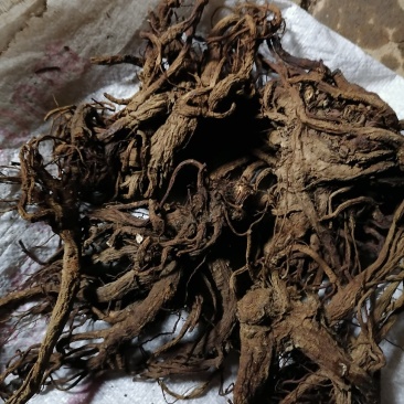 独活，产新独活大货。大货下单有惊喜啊，贝体事宜商定发货。