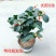 茶花盆栽带花苞四季树苗山茶花苗室内植物好养五色赤丹浓香型