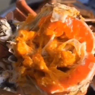 江苏兴化螃蟹产地精品蟹经营精品蟹跳高蟹铺货都有