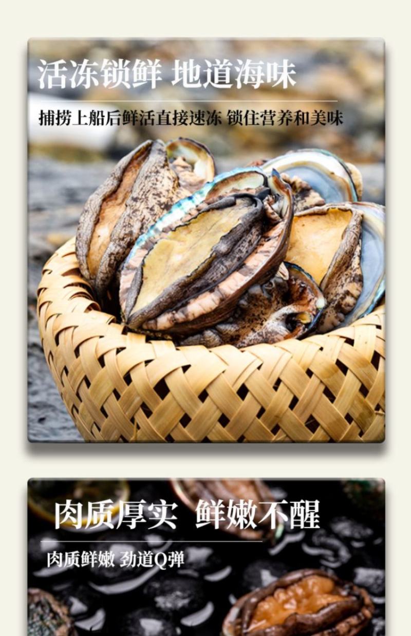 活冻小鲍鱼22-30头左右一斤200个起顺丰包邮