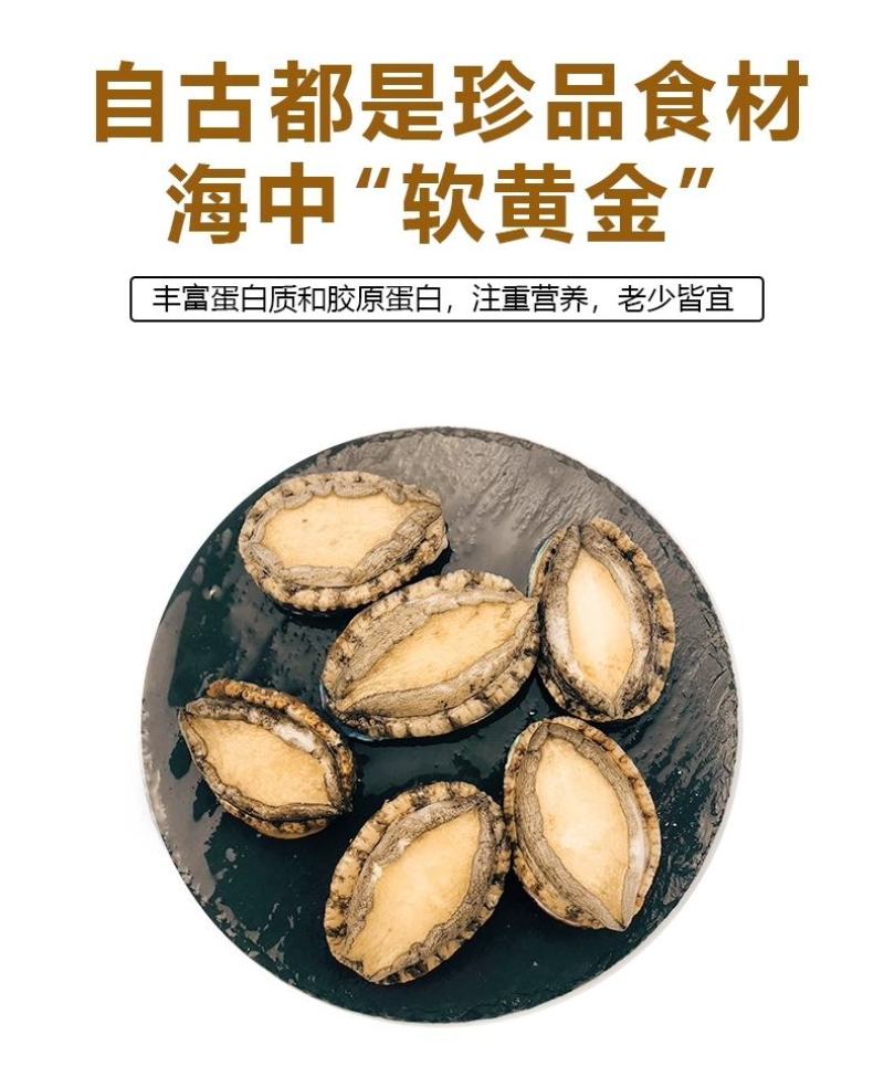 活冻小鲍鱼22-30头左右一斤200个起顺丰包邮