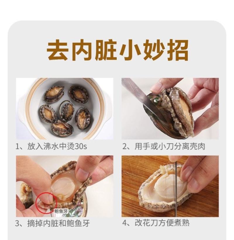 活冻小鲍鱼22-30头左右一斤200个起顺丰包邮