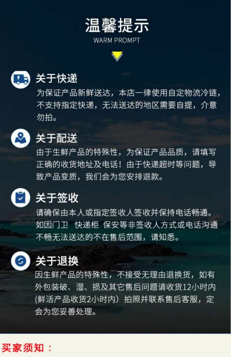活冻小鲍鱼22-30头左右一斤200个起顺丰包邮