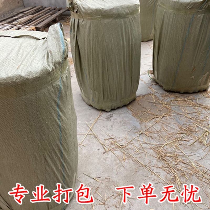 稻草绳防寒防冻保暖捆绑绳保湿树木移栽打土球包扎包装编织草
