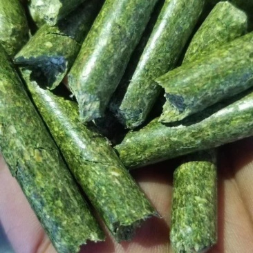 苜蓿草颗粒牧草颗粒饲料颗粒紫花苜蓿草颗粒批发