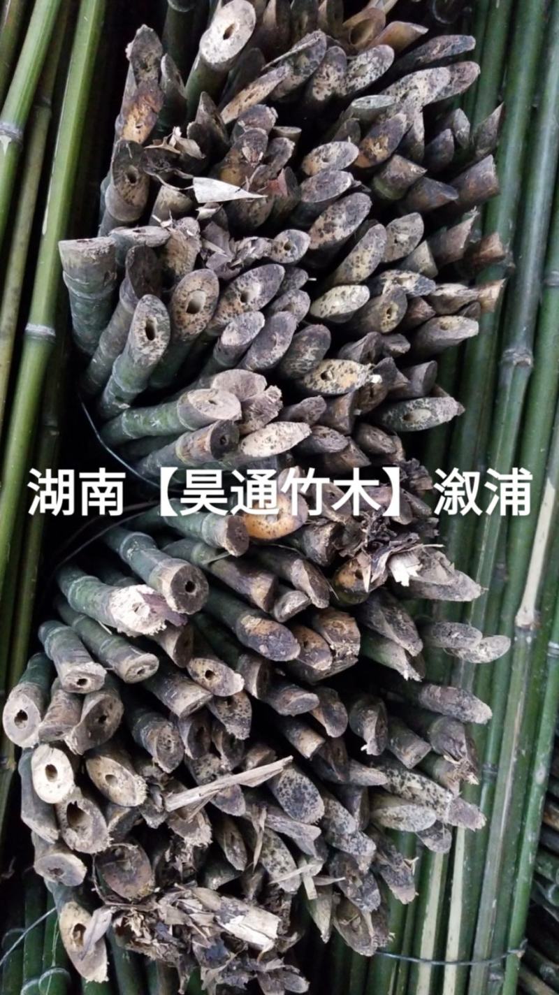 湘西雪峰山菜架竹、竹竿、竹架条、金竹、铁竹