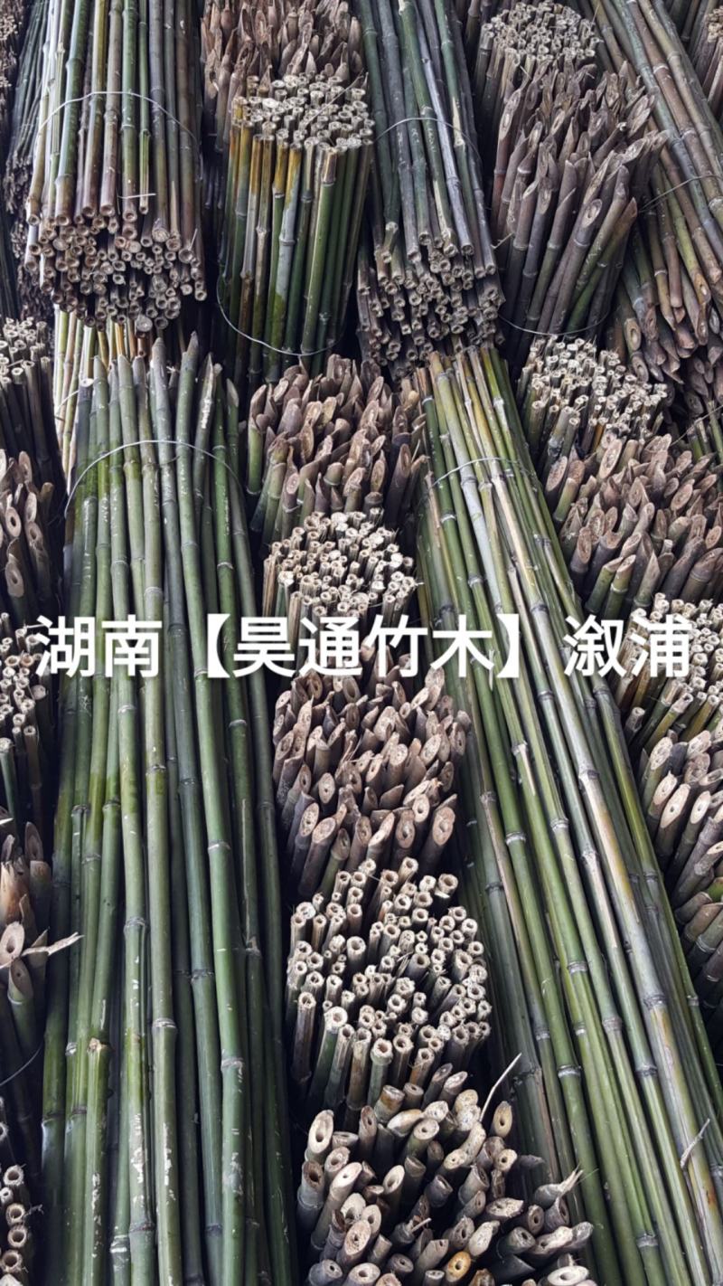 湘西雪峰山菜架竹、竹竿、竹架条、金竹、铁竹