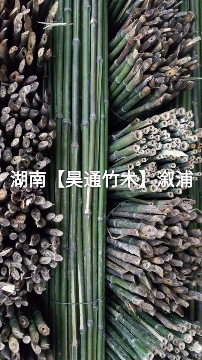 湘西雪峰山菜架竹、竹竿、竹架条、金竹、铁竹