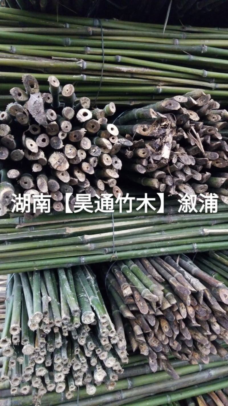 湘西雪峰山菜架竹、竹竿、竹架条、金竹、铁竹