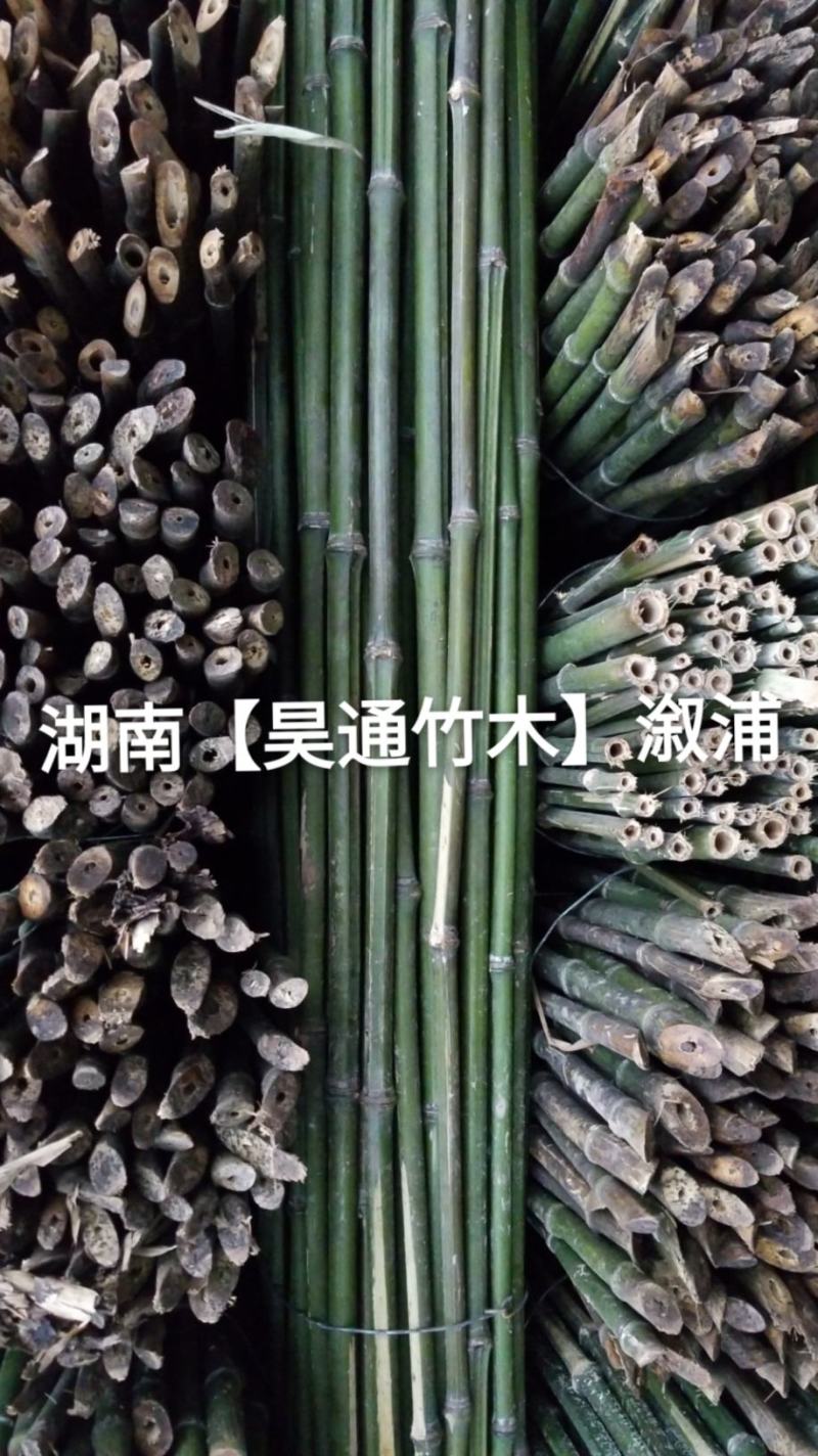 湘西雪峰山菜架竹、竹竿、竹架条、金竹、铁竹