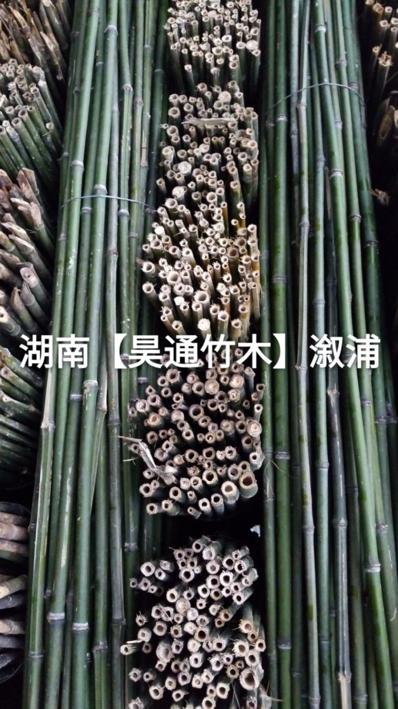 湘西雪峰山菜架竹、竹竿、竹架条、金竹、铁竹