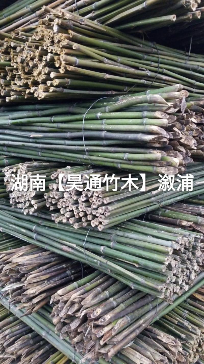 湘西雪峰山菜架竹、竹竿、竹架条、金竹、铁竹