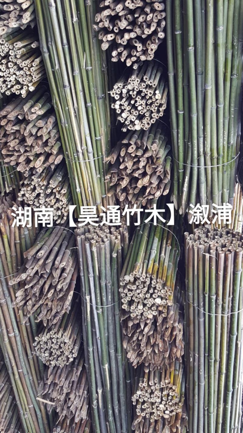 湘西雪峰山菜架竹、竹竿、竹架条、金竹、铁竹